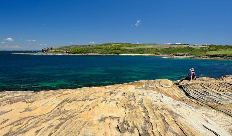 View of Cruwee Cove Beach and Little Bay from Cape Banks, Kamay Botany Bay National Park. Elinor Sheargold &copy; OEH 