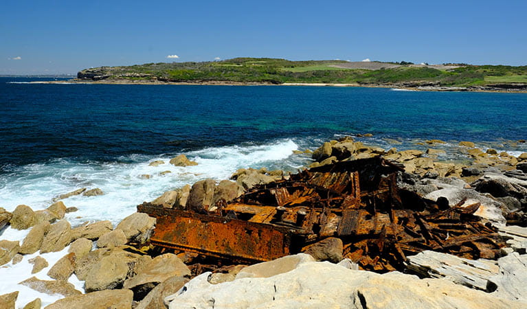 Remnants of SS Minmi shipwreck, Cape Banks, Kamay Botany Bay National Park. Elinor Sheargold &copy; OEH  