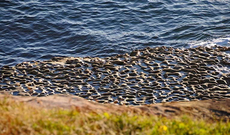 Rock platform at the water's edge. Photo: Kevin McGrath/OEH.