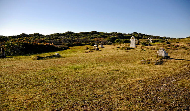 Historic gravestones rest on a grassy plain alongside coastal bushland. Photo: Kevin McGrath &copy; OEH