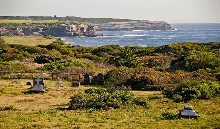 View down a slope of flowering heath, in front of coastal bush, with ocean and fringing cliffs in the background. Photo: Kevin McGrath &copy; OEH