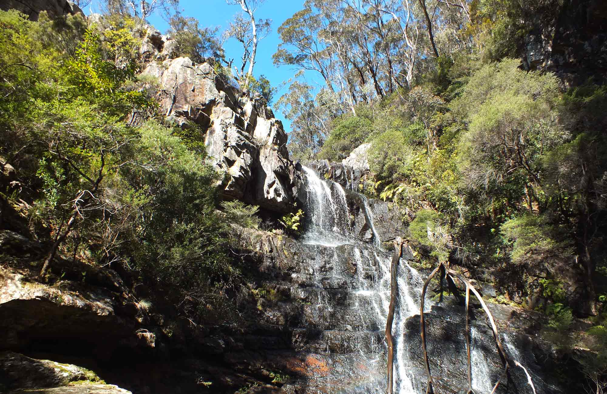 Waterfall walk NSW National Parks