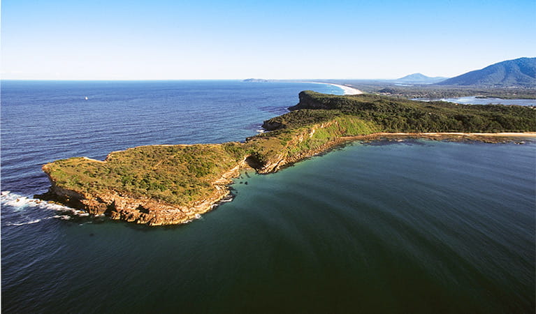 Kattang Nature Reserve: Photo: NSW Government