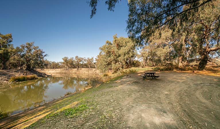Campsite 6 at Darling River campground. Photo: John Spencer/DPIE