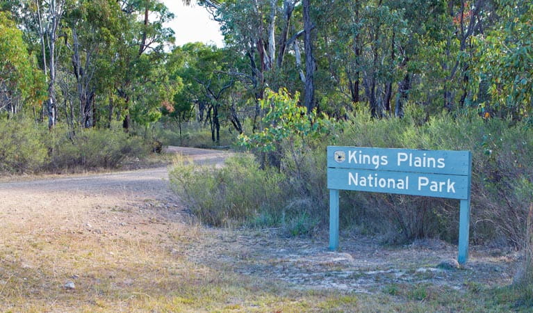 Kings Plains National Park. Photo: Robert Cleary/OEH