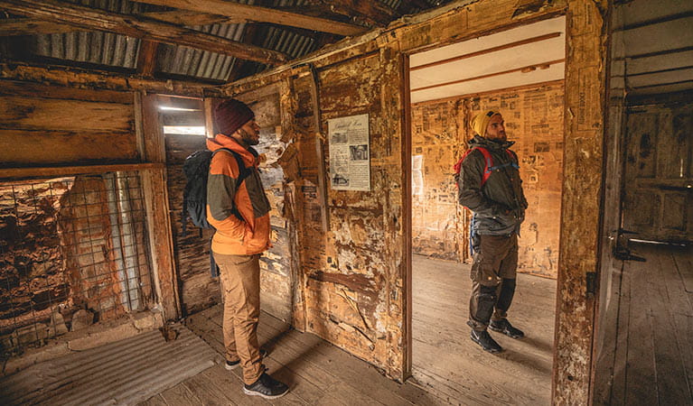 Two men read newspapers lining the walls of a Coolamine Homestead building, Kosciuszko National Park. Photo: Robert Mulally/DPIE