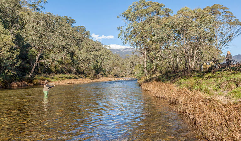 A woman stands in the Swampy Plain River fly fishing, Kosciuszko National Park. Photo: Murray Vanderveer/OEH