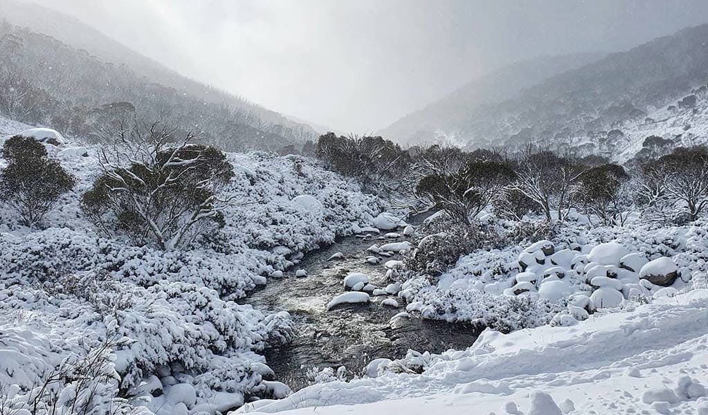 Thredbo River in winter surrounded by the snow covered landscape in Kosciuszko National Park. Credit: Rachel Debels &copy; DCCEEW