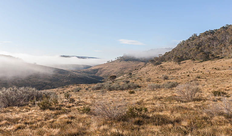 View of open plains and mist-filled valley near Bullocks Hill trail, northern Kosciuszko National Park. Photo: Murray Vanderveer/OEH