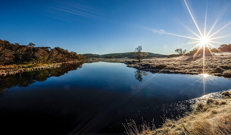 Three Mile Dam campground, Kosciuszko National Park. Photo: Murray Vanderveer/NSW Government