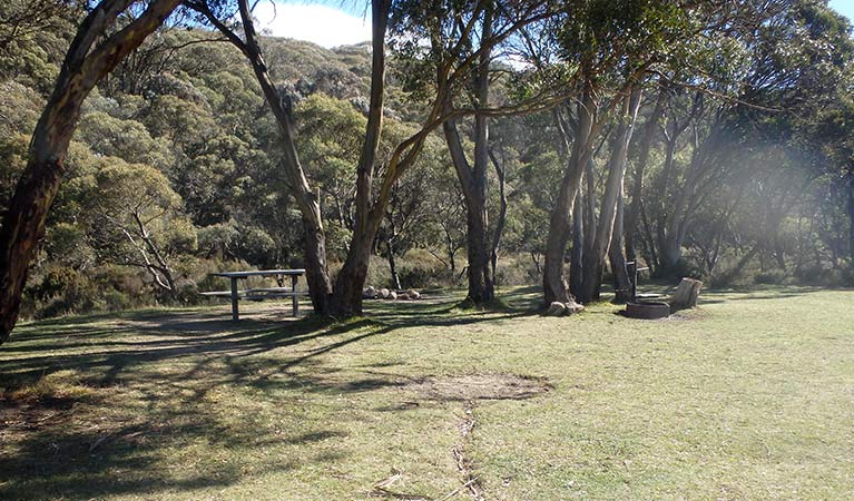 A flat, grassy campsite beside trees at Gungarlin River campground, Kosciuszko National Park. Photo: Andrew Miller/OEH