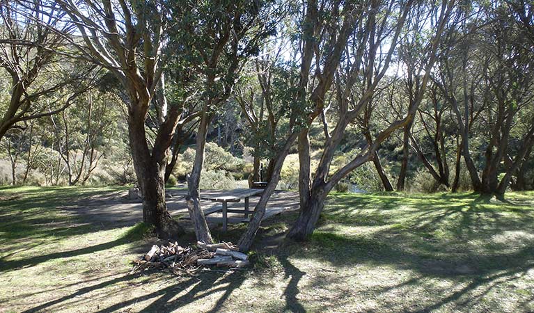A shady unmarked campsite under trees at Gungarlin River campground, Kosciuszko National Park. Photo: Andrew Miller/OEH