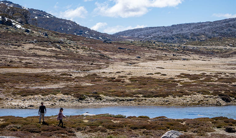 Visitors bushwalking beside the banks of Upper Snowy River. Photo &copy; Johnny Mellowes