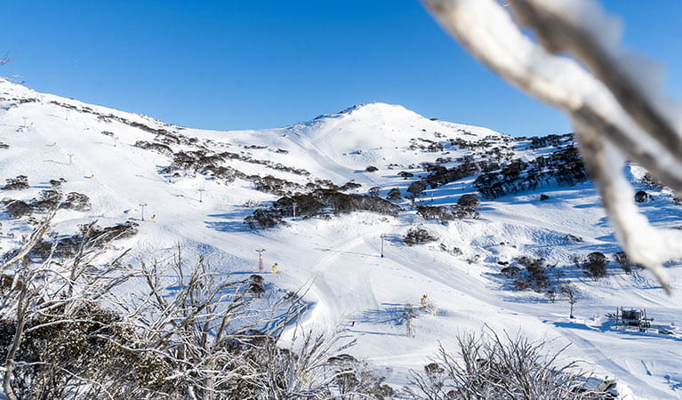 View of snow covered mountains at Perisher Ski Resort, in Kosciuszko National Park. Photo: Images supplied courtesy of Perisher Ski Resort