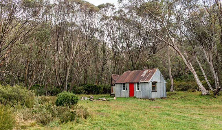 Corrugated iron Horse Camp Hut surrounded by forest, Schlink Hut walk in Kosciuszko National Park. Photo: John Spencer &copy; OEH