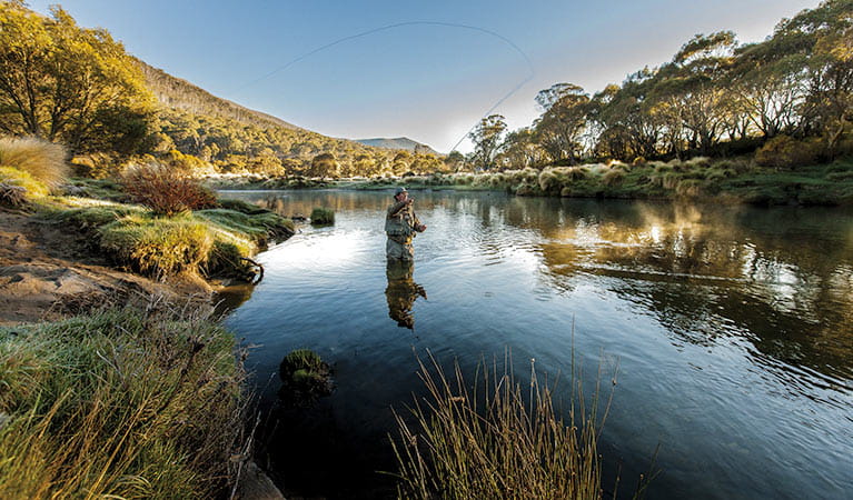 A fly fisherman casting his fly in the Thredbo river. Photo:Murray Vanderveer Copyright:NSW Government