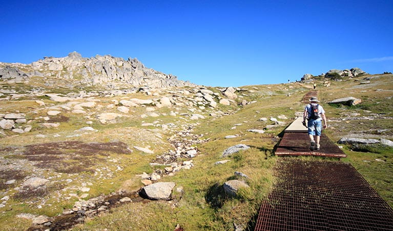 Thredbo to Mount Kosciusko walk, Kosciuszko National Park. Photo: Elinor Sheargold &copy; OEH