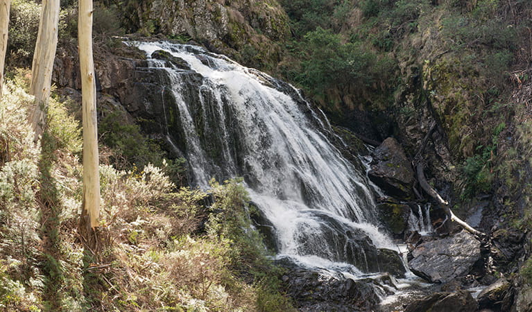 View of water cascading down top section of Buddong Falls surrounded by bushland. Photo: John Spencer &copy; OEH