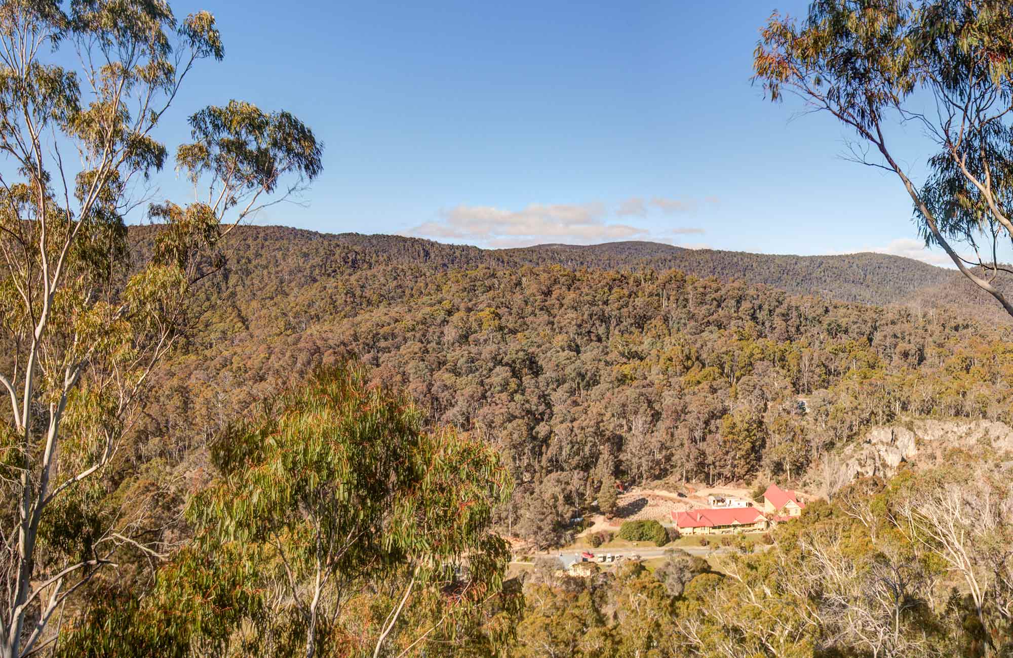 Bluff lookout walk NSW National Parks