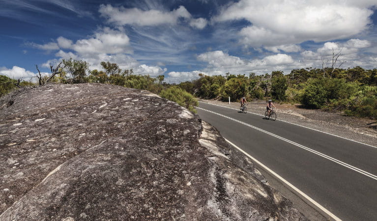 Two cyclists riding along West Head Road in Ku-ring-gai Chase National Park. Photo: David Finnegan/OEH