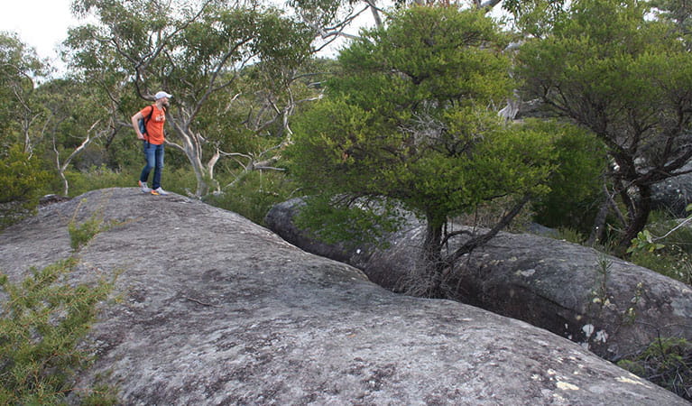 Interesting rock outcrops along Aboriginal Heritage walk, Ku-ring-gai Chase National Park. Photo: Natasha Webb /OEH