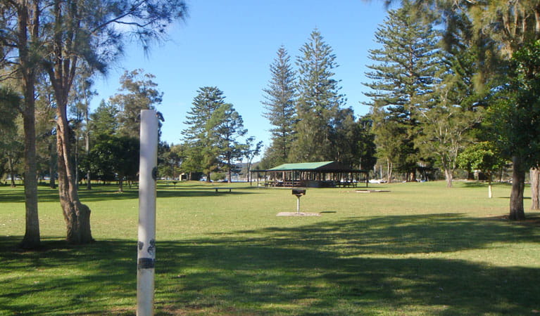 The Basin picnic area, Ku-ring-gai Chase National Park. Photo: David Finnegan/NSW Government