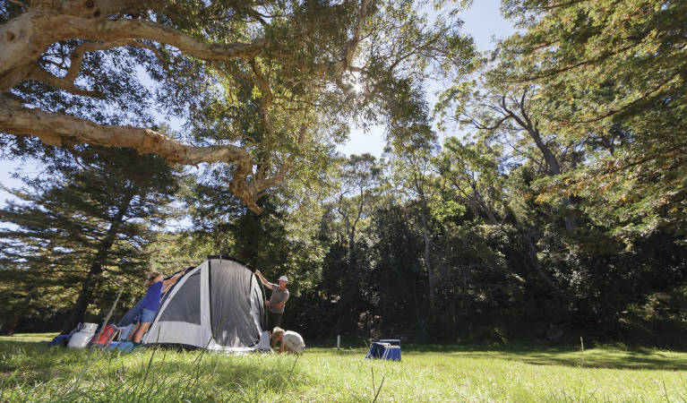 A family sets up their tent on a grassy area at The Basin campground in Ku-ring-gai Chase National Park. Photo: David Finnegan/OEH