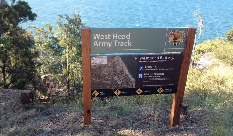 West Head army track, West Head lookout, Ku-ring-gai Chase National Park. Photo: Natasha Funke