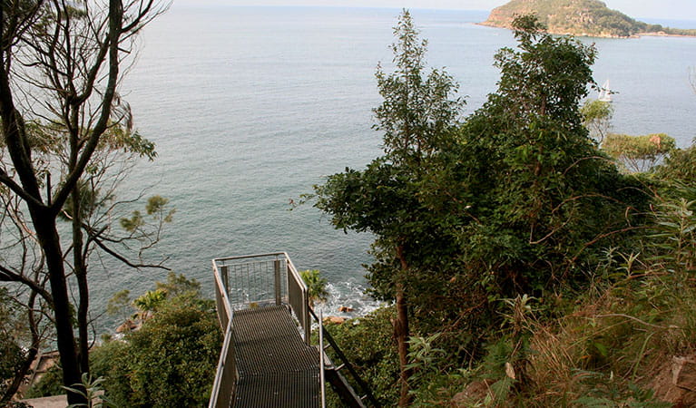 The top of the ladders that are part of West Head Army track. Photo: Natasha Webb