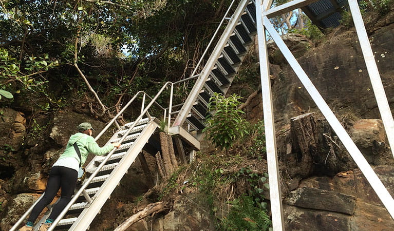 Climbing one of the West Head army track ladders. Photo: Matt Graham