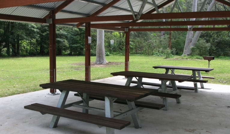 Picnic tables at the picnic shelter in Haynes Flat picnic area, Lane Cove National Park. Photo: Nathan Askey-Doran &copy; DPIE