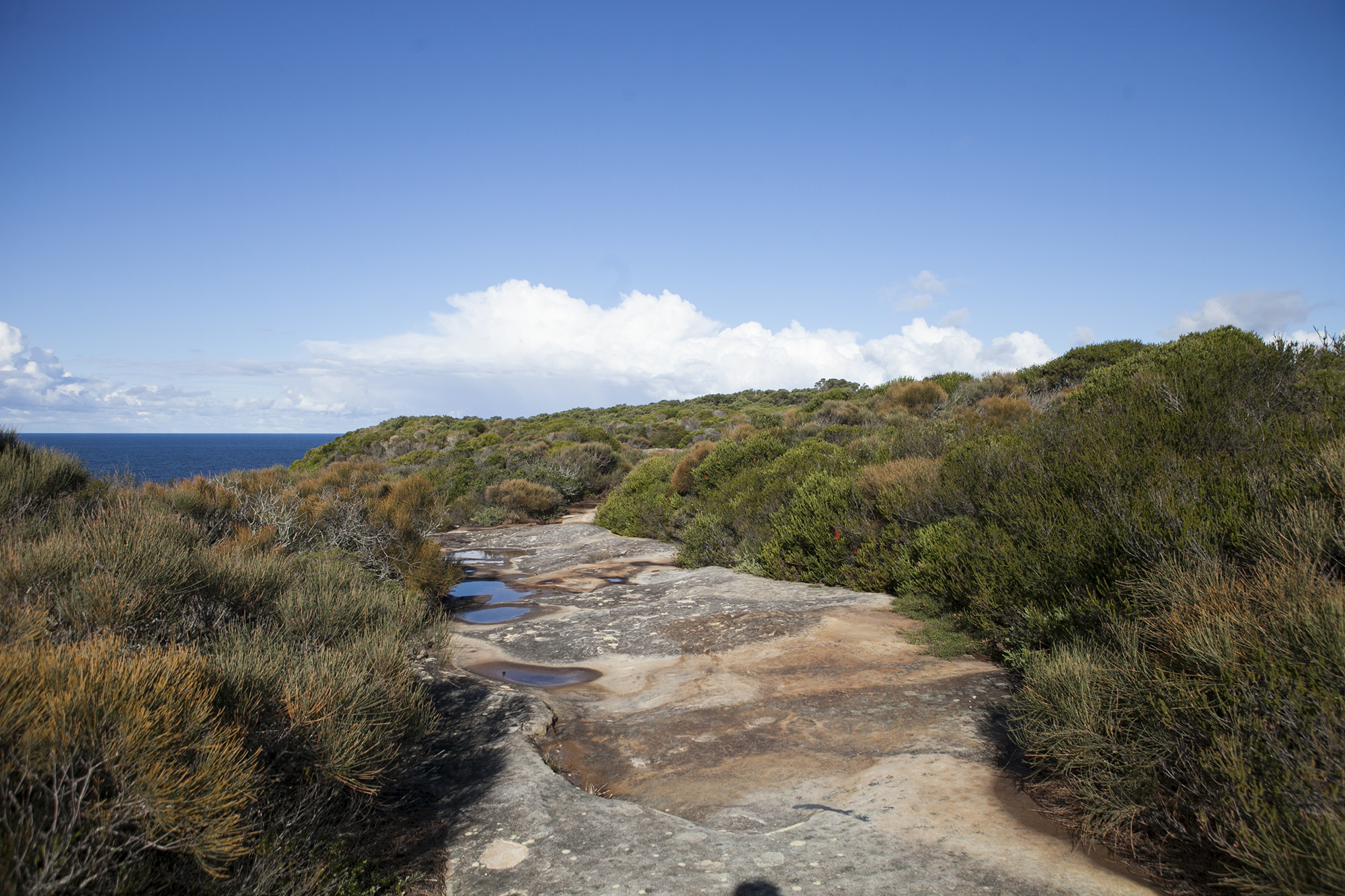 Boora Point walking track NSW National Parks