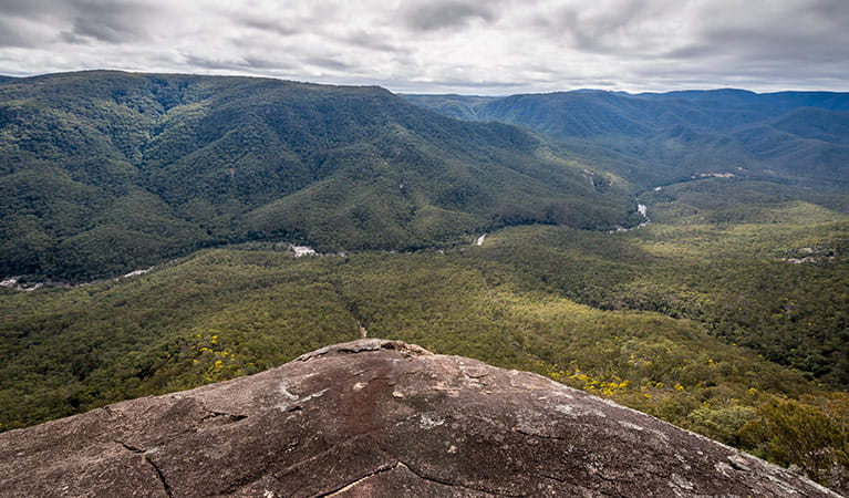 Tommys Rock lookout and walking track, Mann River Nature Reserve. Photo: John Spencer &copy; OEH