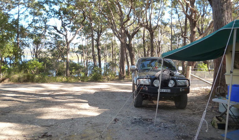 Termeil Point campground. Photo: Meghan Kempster/NPWS