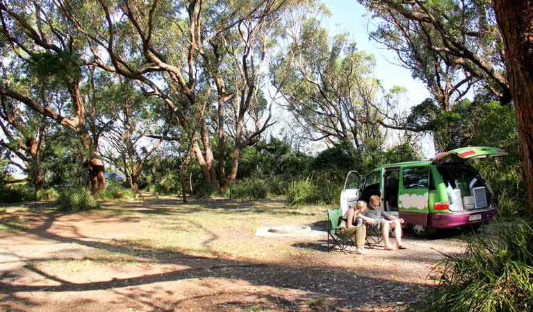 Aragunnu campground. Photo: John Yurasek Copyright: NSW Government