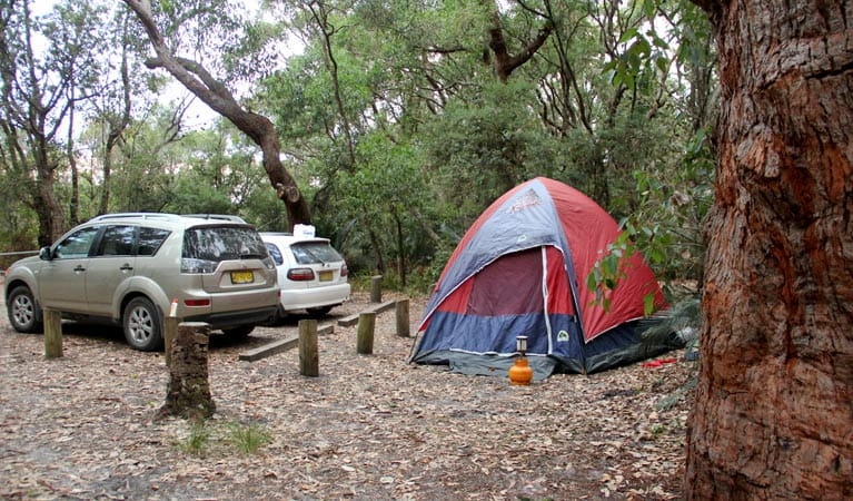 Aragunnu campground, Mimosa Rocks National Park. Photo: John Yurasek Copyright: NSW Government