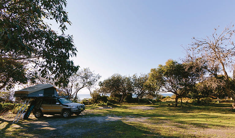 A car with roof top tent parked under a tree at Gillards campground, Mimosa Rocks National Park. Photo: David Finnegan/DPIE