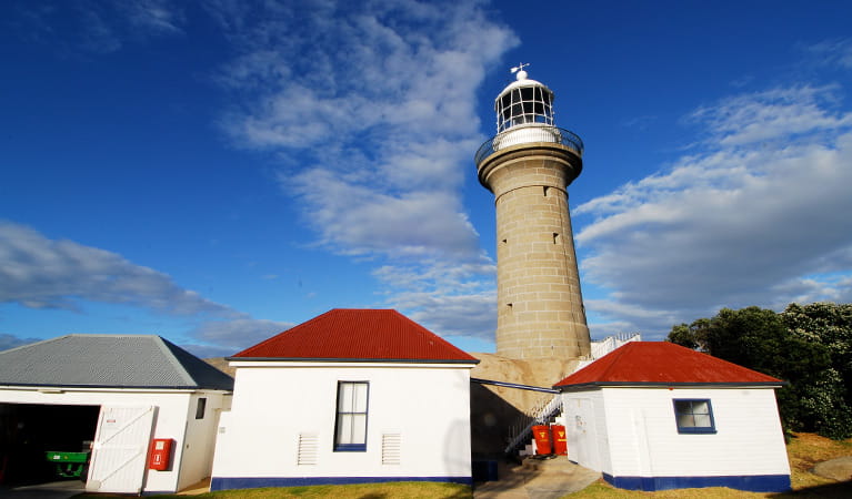 2 red-roofed, white buildings in front of Montague Island Lighthouse. Photo: Stuart Cohen/OEH
