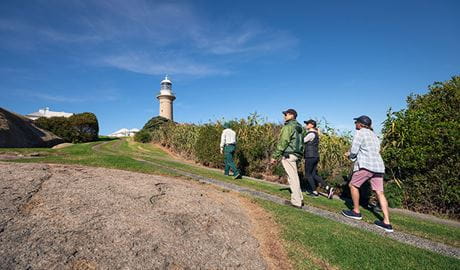 3 people follow a ranger up a steep hill with a lighthouse on a guided tour of Barunguba Montague Island Nature Reserve. Photo &copy; Daniel Tran
