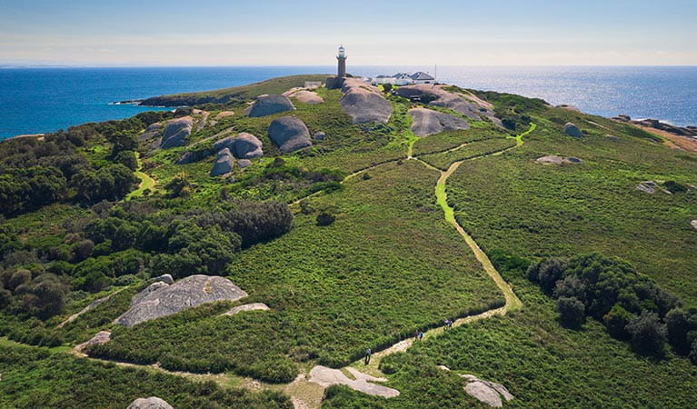 Aerial view of the walking track and lighthouse at Barunguba Montague Island Nature Reserve. Photo &copy; Daniel Tran