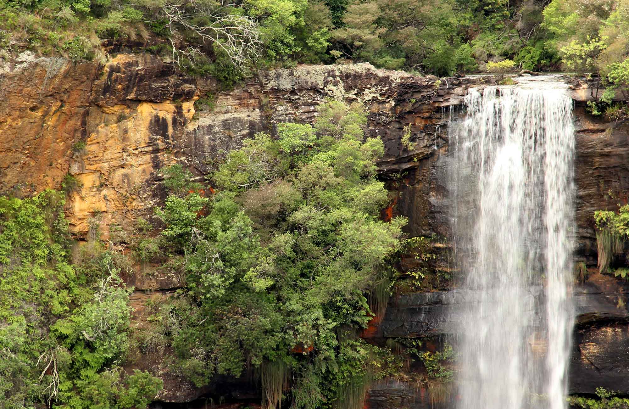Fitzroy Falls, Morton National Park. Photo: John Yurasek/NSW Government