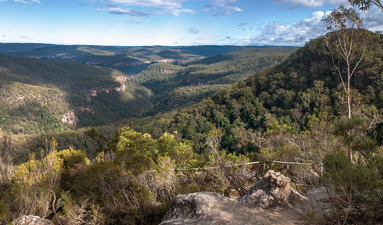 View from Bonnie View lookout over the rugged line of Bundanoon Creek in Morton National Park. Photo: Michael Van Ewijk &copy; DPIE.