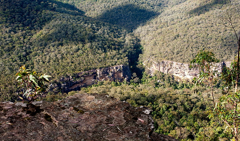 View over rocky ledge at Beauchamps Cliffs lookout to rugged cliffs and untracked bushland in Morton National Park. Photo: Michael Van Ewijk &copy; DPIE.