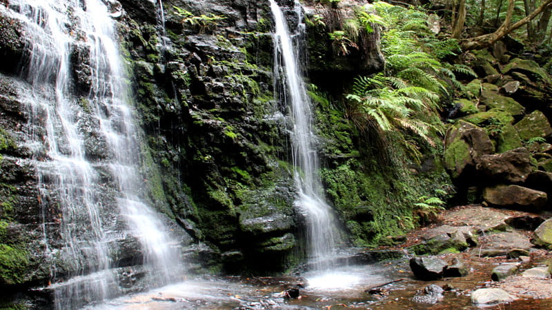Waterfall in Morton National Park. Photo: John Yurasek &copy; DPIE