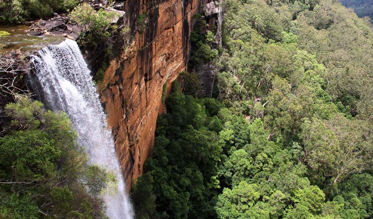 Fitzroy Falls, Morton National Park. Photo: John Yurasek &copy; DPIE