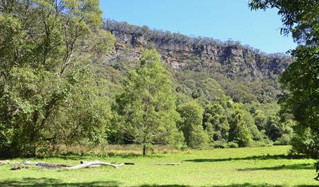Gales Flat campground, surrounded by trees and sandstone cliffs in Morton National Park. Photo &copy; Jacqueline Devereaux