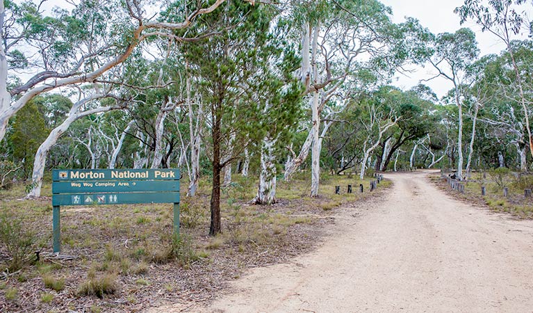 Wog Wog campground, Morton National Park. Photo: Michael van Ewijk/NSW Government