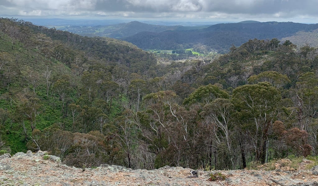 View from the Walls lookout, Mount Canobolas State Conservation Area. Photo: Kristian Laskowski &copy; DPE