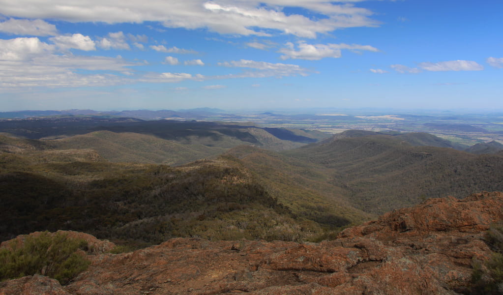 Expansive view of forest-clad mountain ridges and valleys from Bundabulla lookout. Photo &copy; Jessica Stokes
