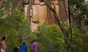 A group of people at Sawn Rocks lookout gaze up at the cliff wall of Sawn Rocks. Photo &copy; Ian Brown